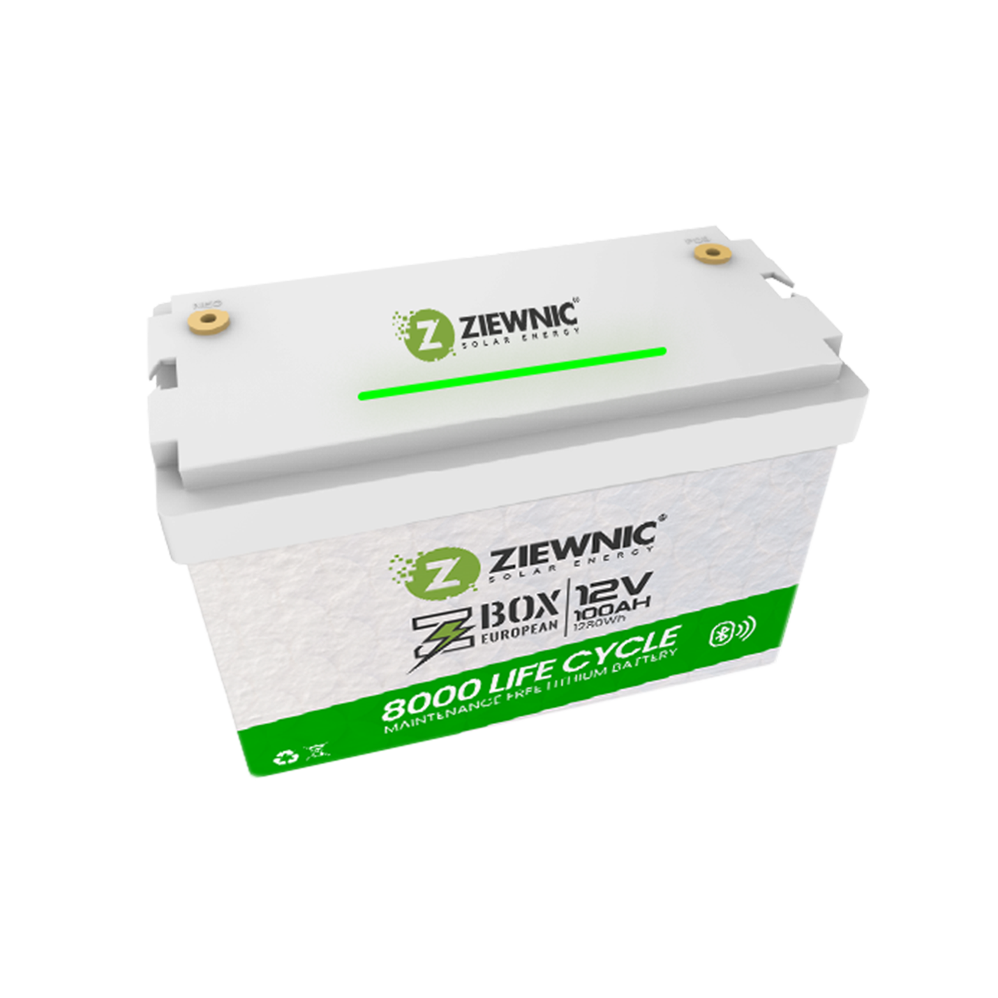 Ziewnic 12.8V 100AH 1280W/HOUR