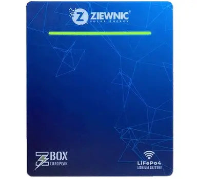 Ziewnic 51.2V 100AH