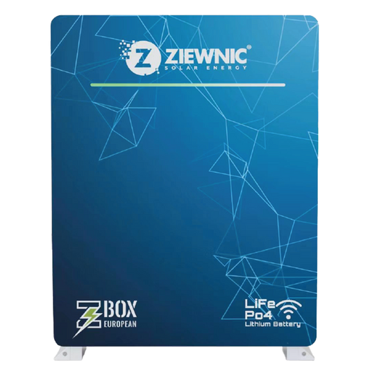 Ziewnic 51.2V 100AH 5120W/HOUR