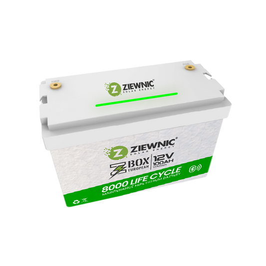 Ziewnic 12.8V 100AH 1280W/HOUR